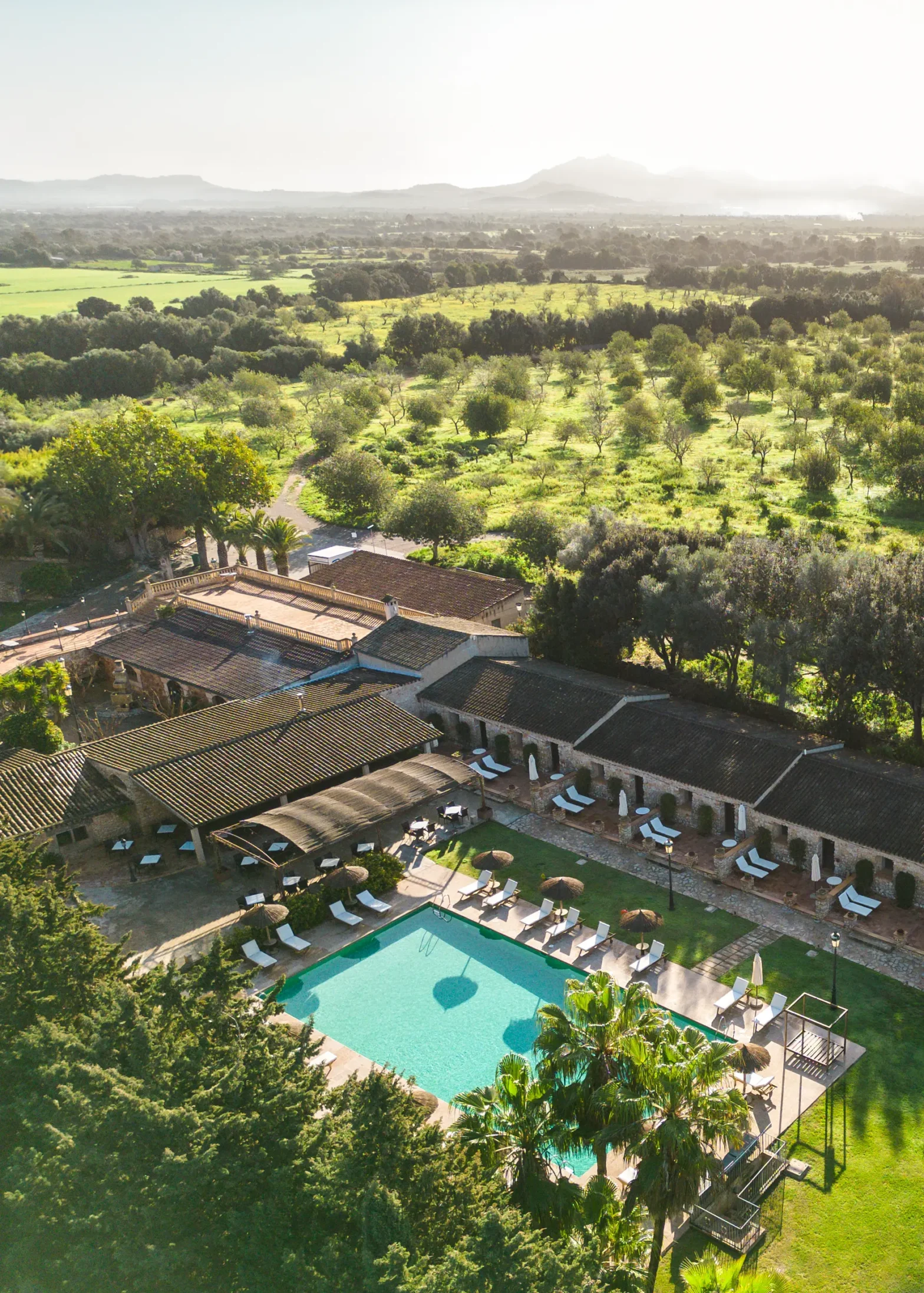 Luftaufnahme - März  Richtung Mandelhain